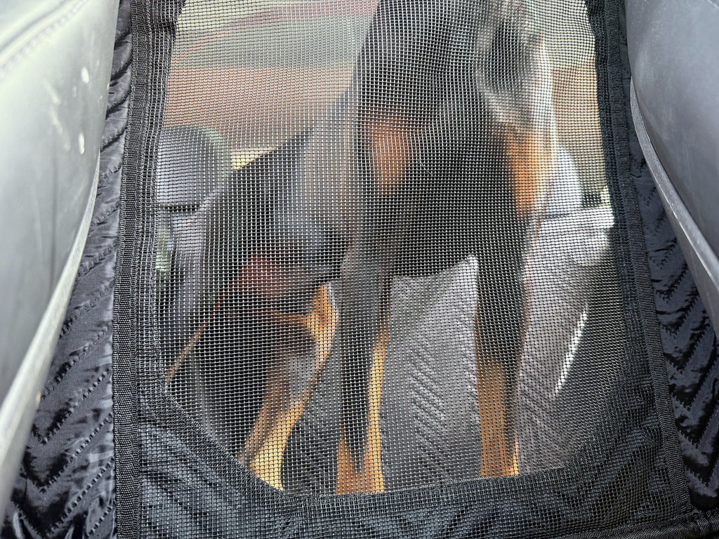 Doberman visible through the breathable mesh window