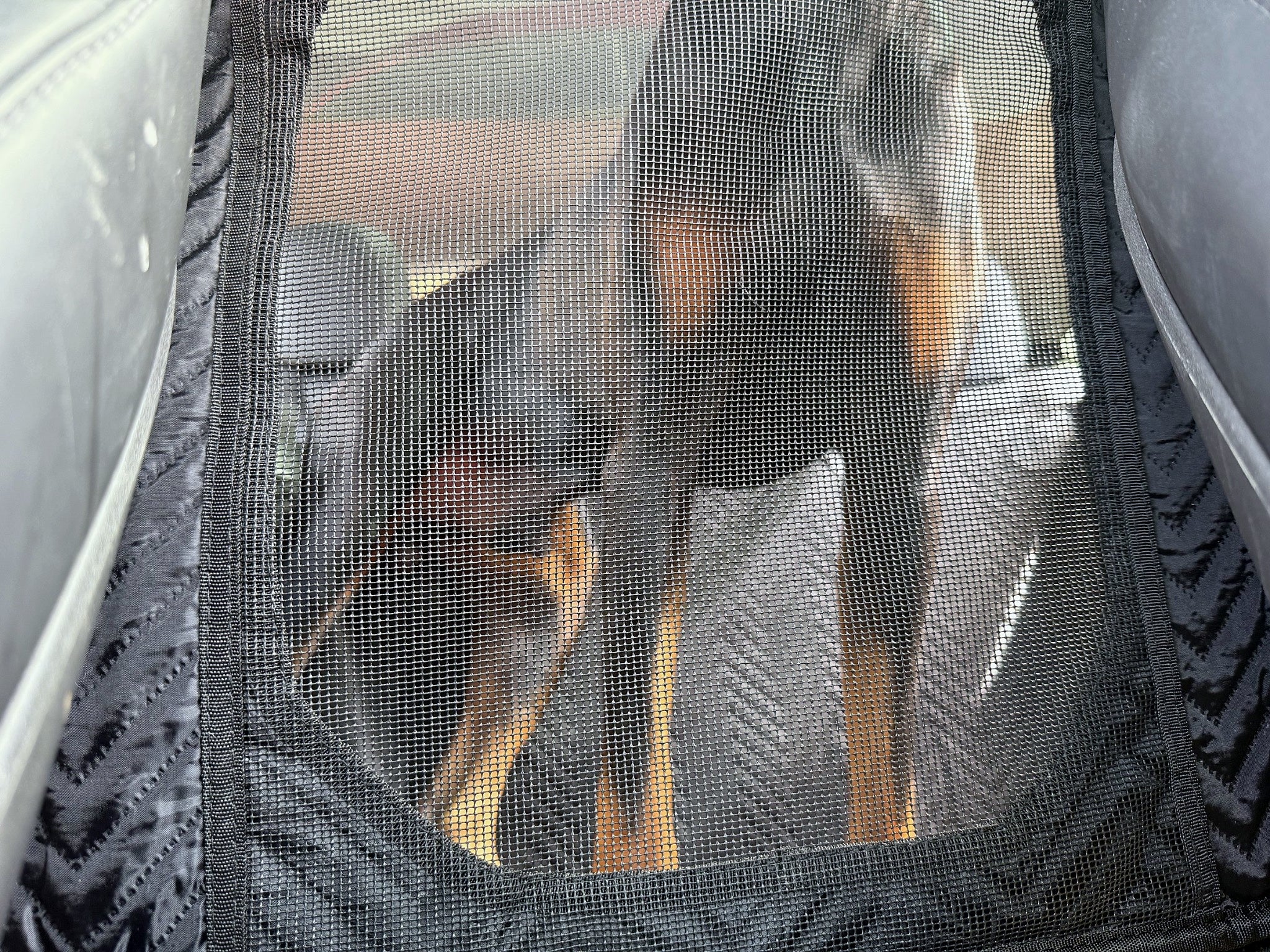 Doberman visible through the breathable mesh window