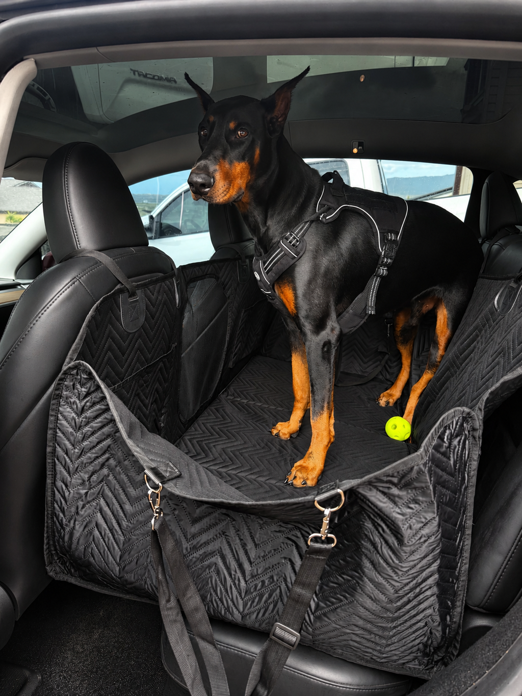 Premium Backseat Extender for Dogs