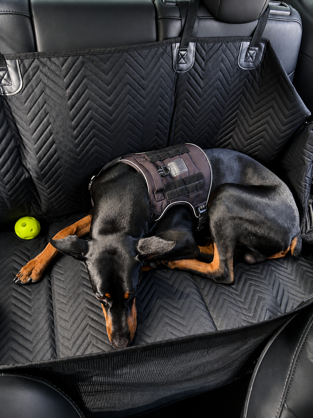 Premium Backseat Extender for Dogs