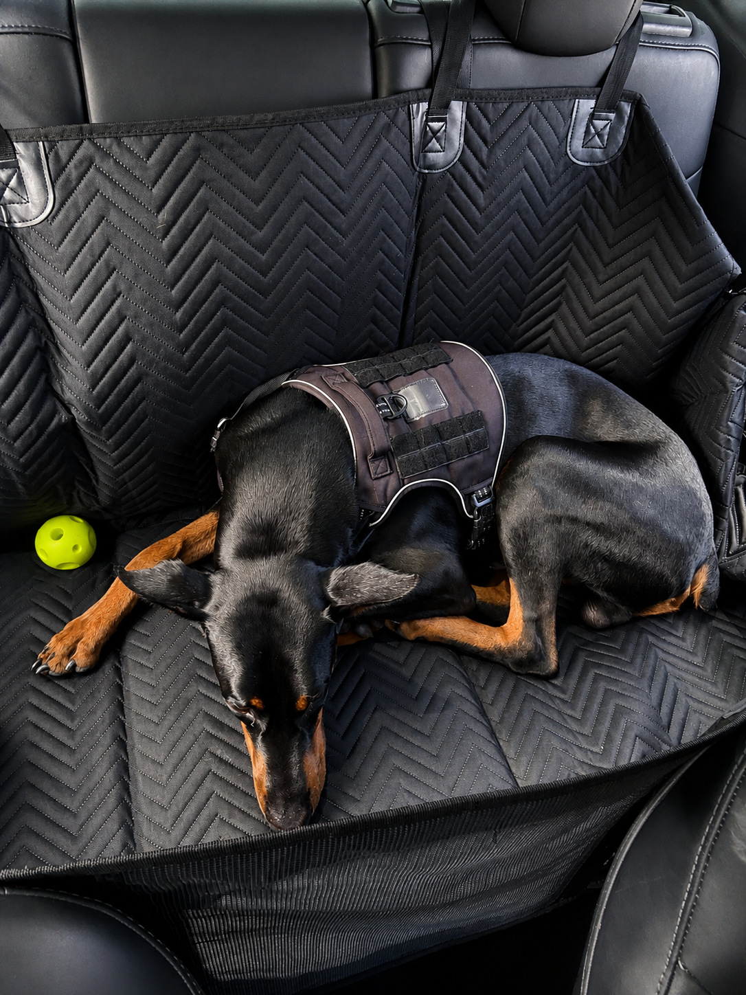 Premium Backseat Extender for Dogs