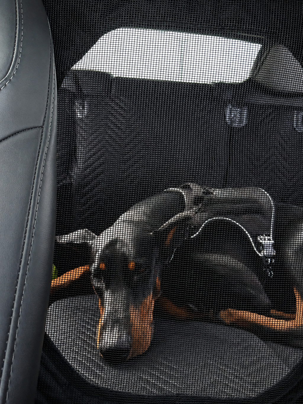 Premium Backseat Extender for Dogs