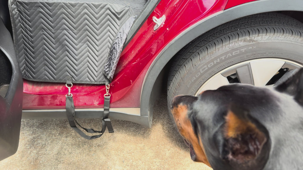 Premium Backseat Extender for Dogs