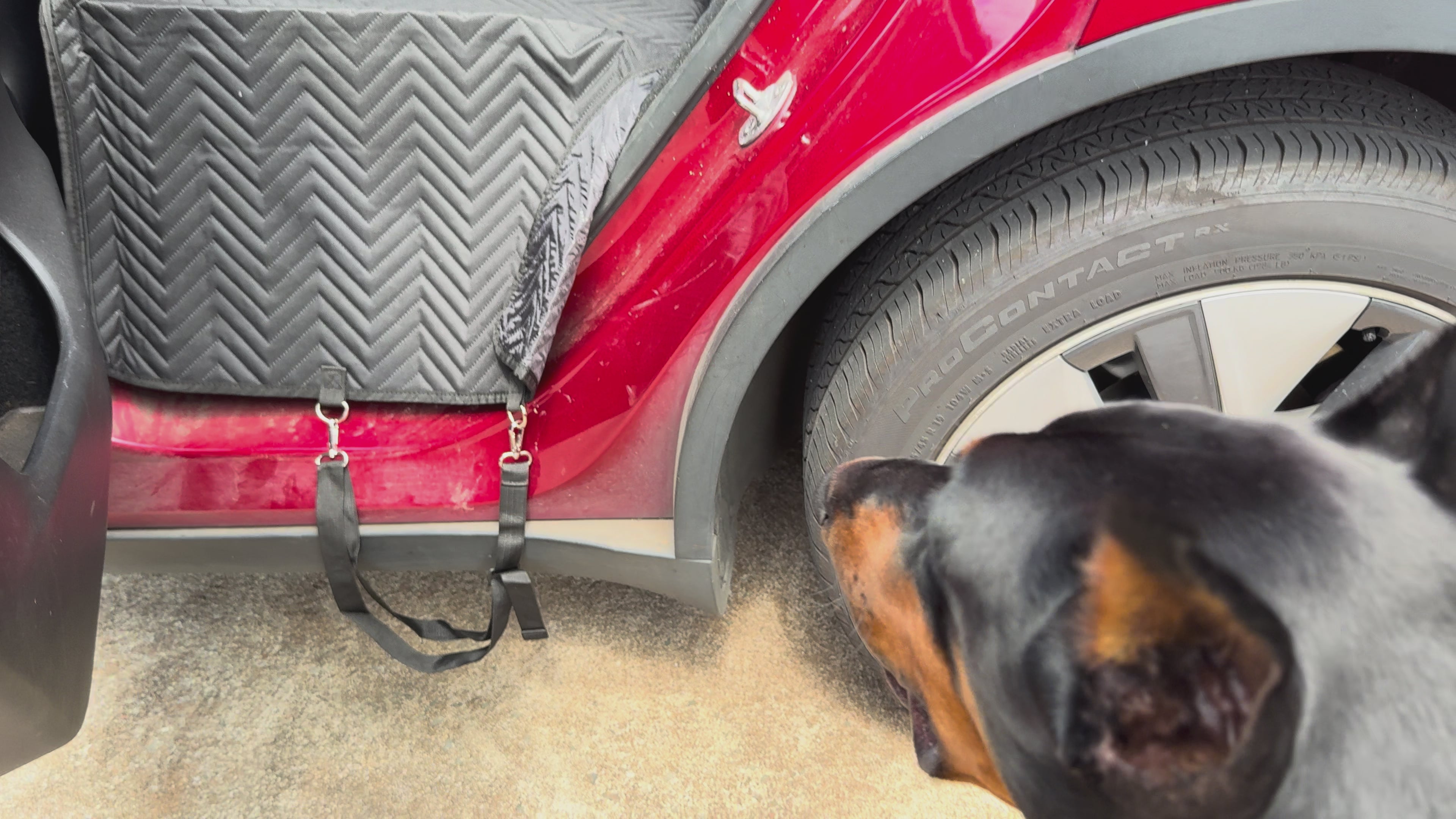 Premium Backseat Extender for Dogs