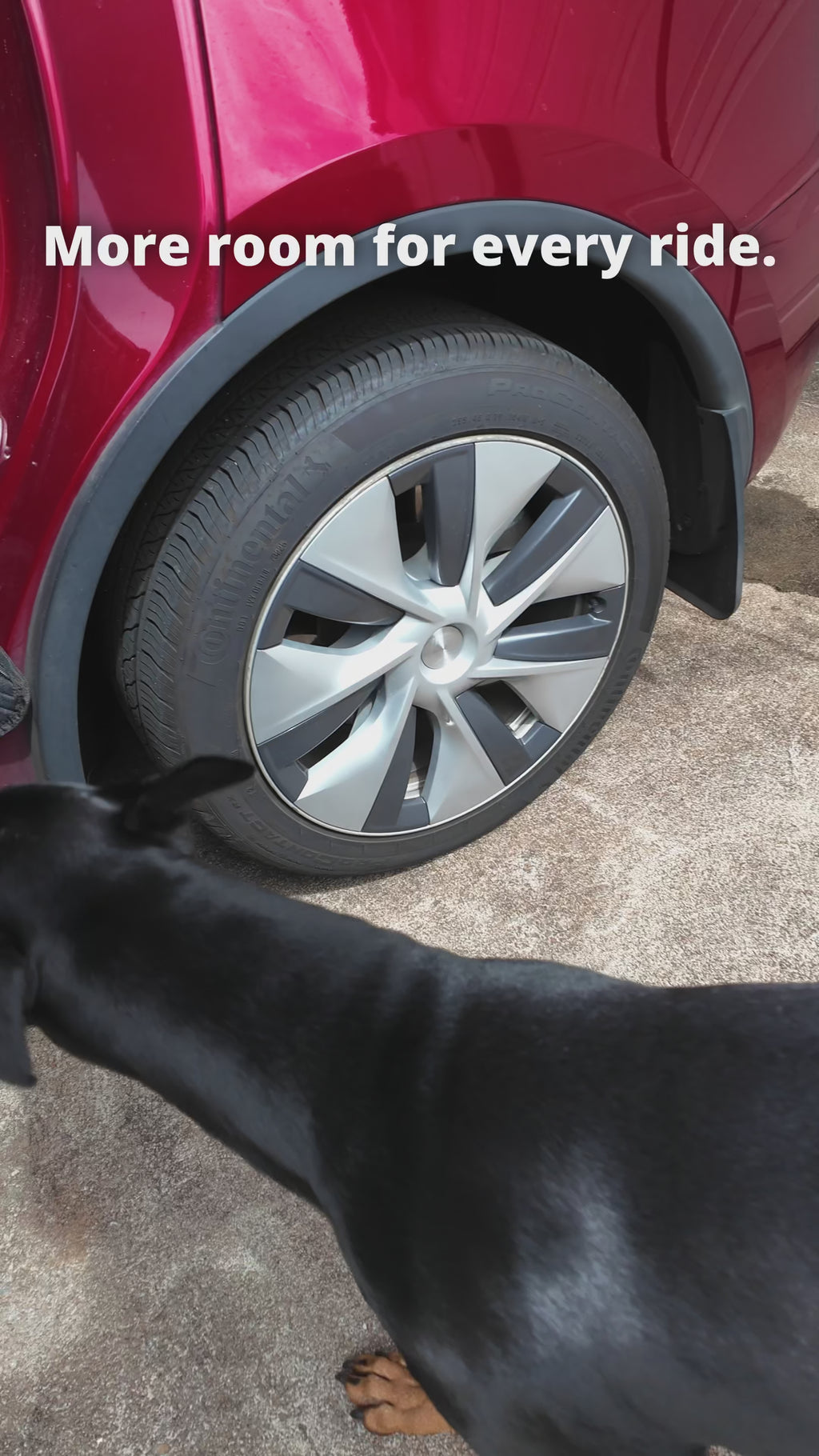 Premium Backseat Extender for Dogs